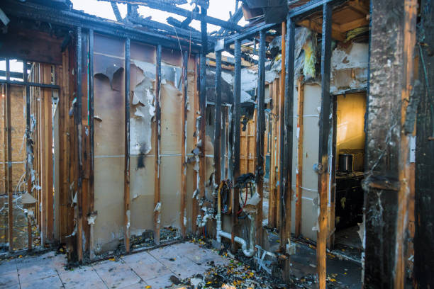 Professional Smoke Damage Removal technician working in Oakland, NJ